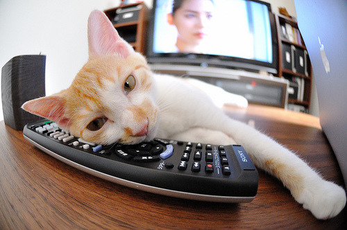 爱游戏app推荐-新闻中心召开年度总结大会,年度总结大会新闻稿